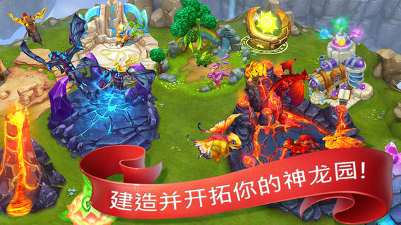 龙的世界