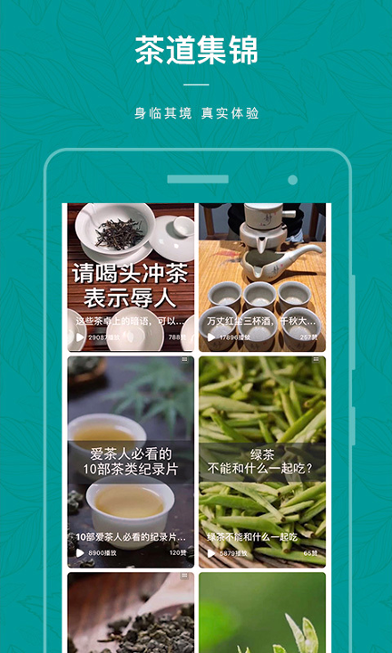 茶物几何