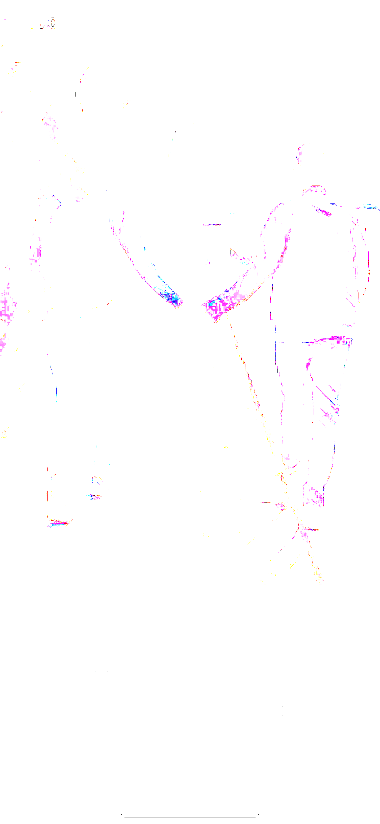 大画家