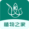 眼香