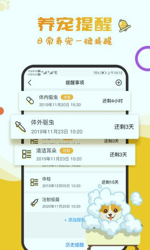 爱宠大陆