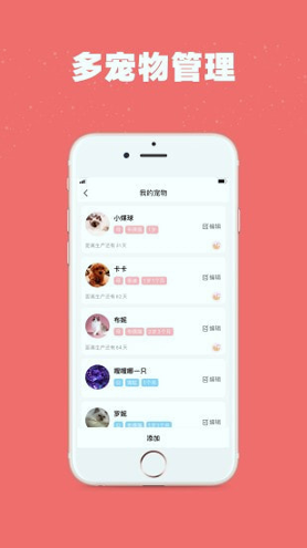 宠物王国安卓版