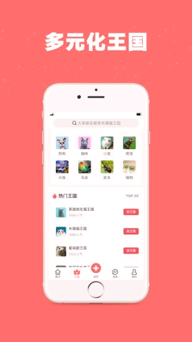 宠物王国安卓版