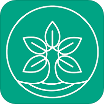 比茶大陆