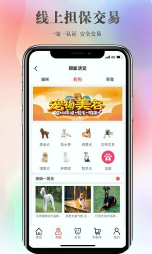 跟脚网