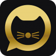 点钻猫