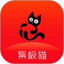 集极猫