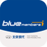 北京现代bluemembers