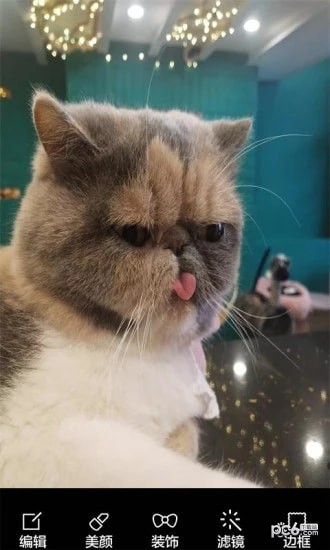 酷我表情照相机