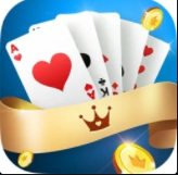 点我牌棋安卓版