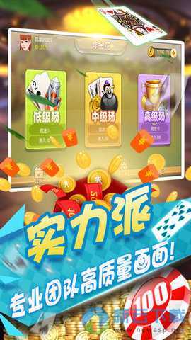 24牌棋vip苹果版