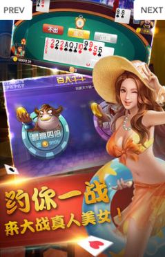赚金币斗牛牛