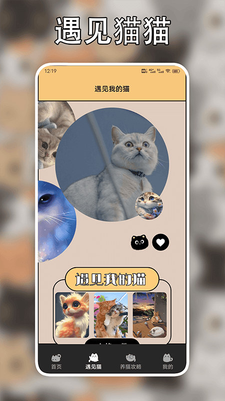 遇见我的猫翻译