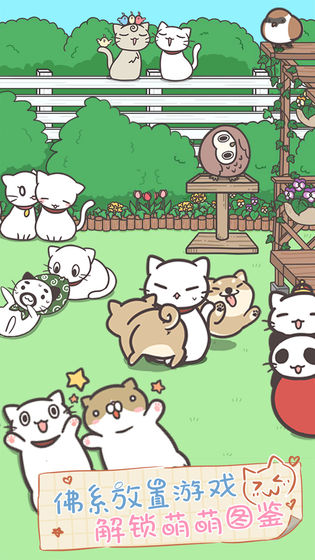 猫咪饲养日常手机版