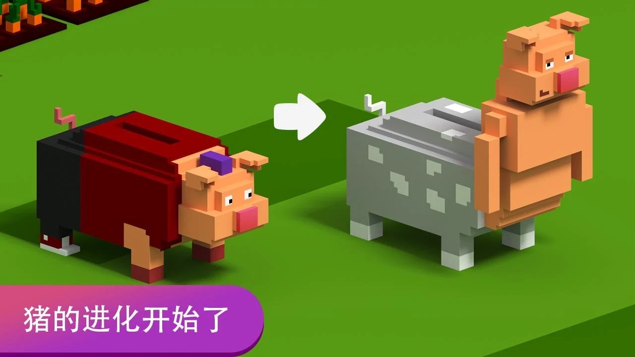 方块小猪大作战