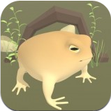 青蛙生活