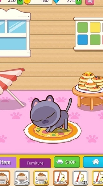 猫酒店设计