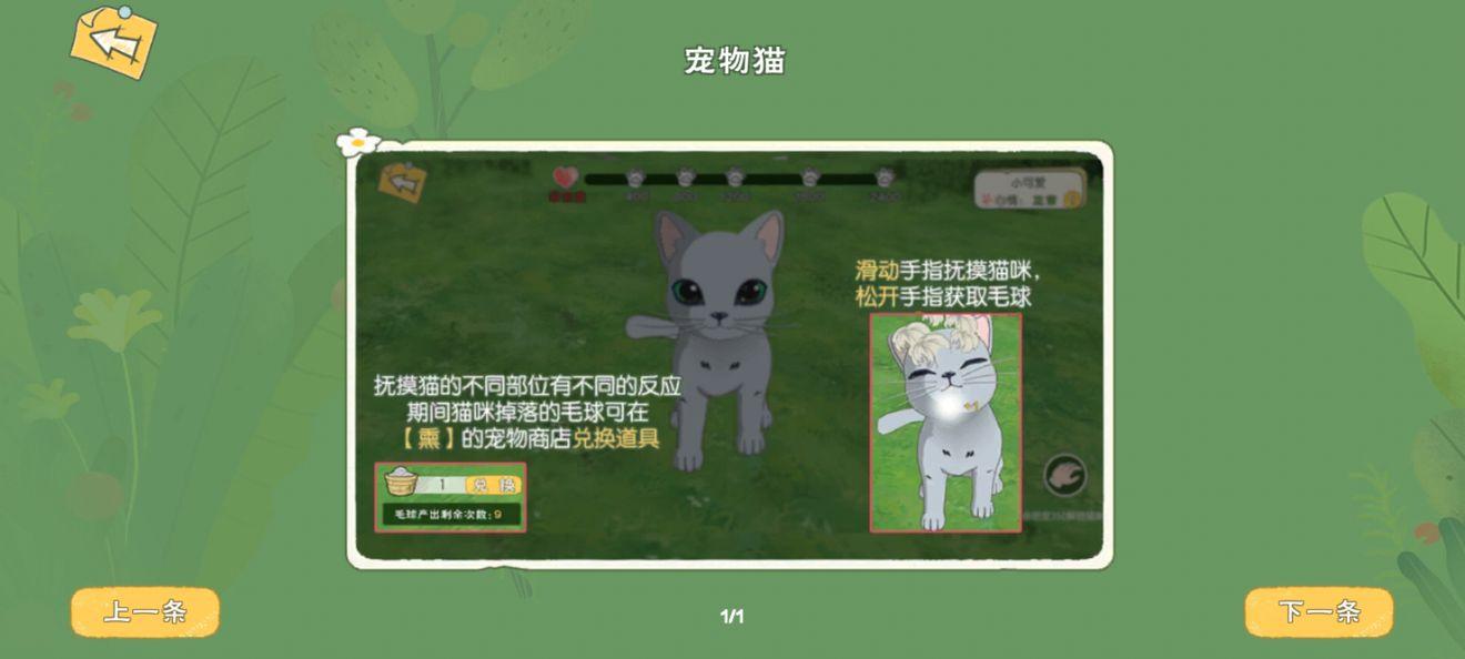 小森生活怎样领养宠物猫 合理的将猫放在家中