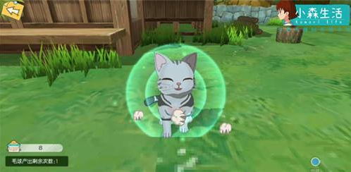 小森生活怎样领养宠物猫 合理的将猫放在家中