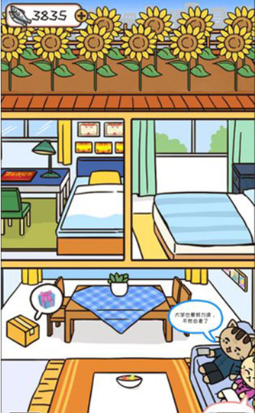 离家的猫