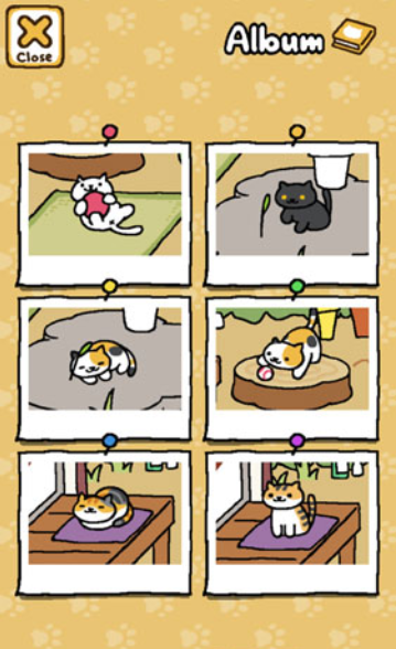 猫咪后院