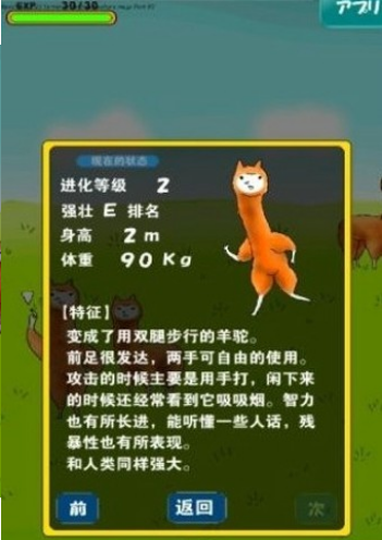 兄贵羊驼