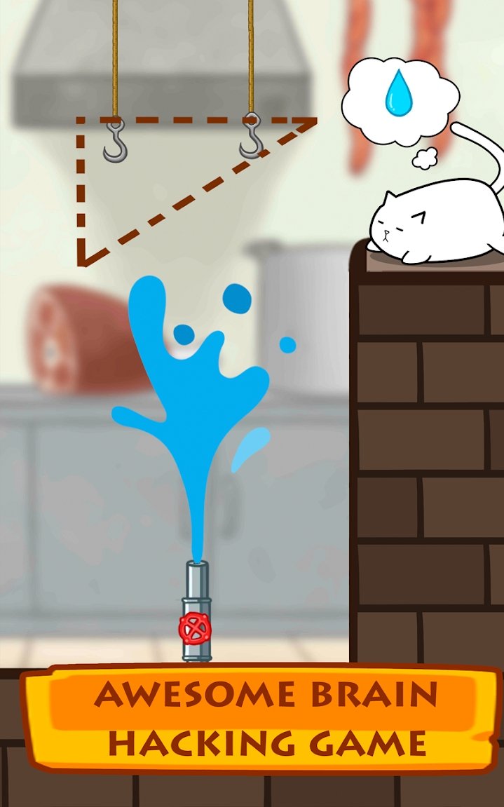 拯救猫