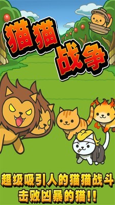 猫猫大战