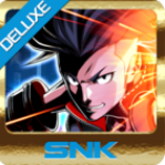拳皇:野兽梦宴DX