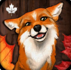 暖秋物语