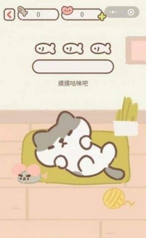 遇见你的猫