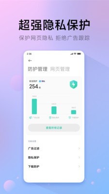 &pi;浏览器