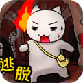 白猫的大冒险