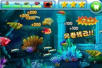 大鱼吃小鱼超级进化