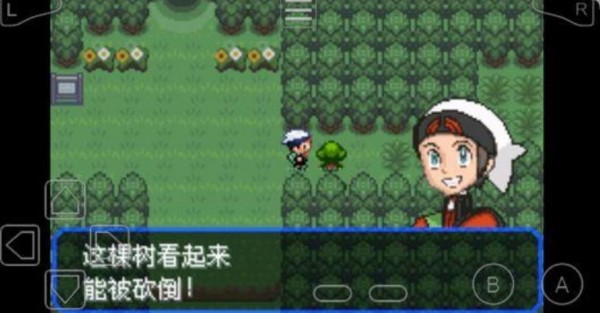 究极绿宝石之黎明