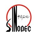 中国石化加油卡掌上营业厅安卓版