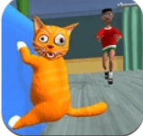 小猫破坏者