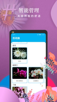 安心花