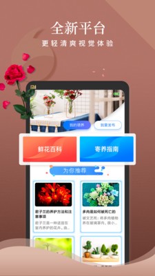 安心花