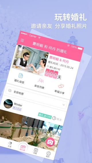 婚礼猫