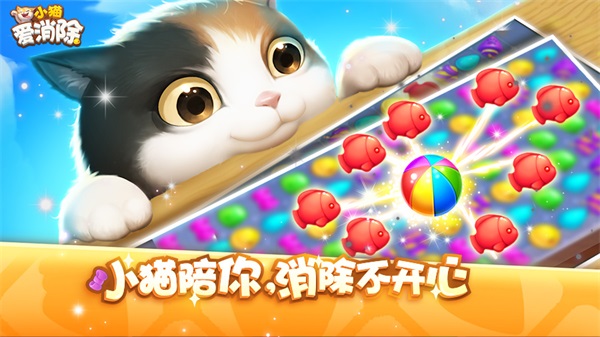 邂逅猫咪,遇见美好,《小猫爱消除》开启预约! 邂逅猫咪,遇见美好,《小猫爱消除》开启预约!