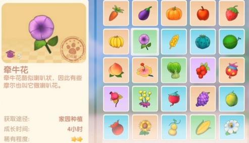 摩尔庄园里获取牵牛花的攻略介绍 摩尔庄园里获取牵牛花的攻略介绍