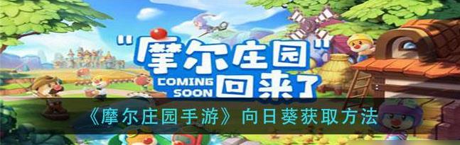摩尔庄园里向日葵是不是真的没用呢 摩尔庄园里向日葵是不是真的没用呢