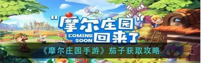 摩尔庄园常见植物 茄子分析盘点 摩尔庄园常见植物 茄子分析盘点