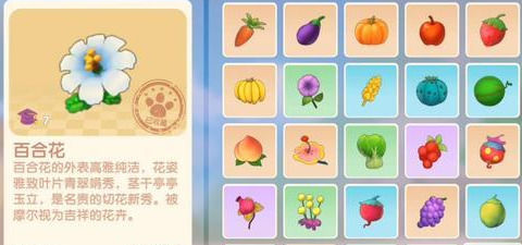 摩尔庄园花中淑女 百合花的相关介绍 摩尔庄园花中淑女 百合花的相关介绍