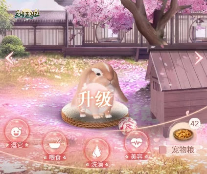 萌宠升级互动答疑，《兰陵王妃》宠物详细攻略一网打尽！