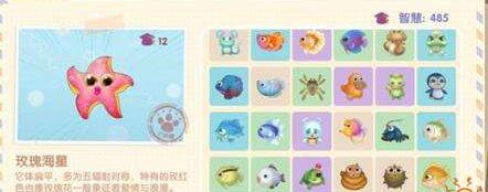 摩尔庄园 玫瑰海星的相关攻略 摩尔庄园 玫瑰海星的相关攻略