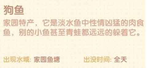 摩尔庄园里狗鱼介绍 摩尔庄园里狗鱼介绍