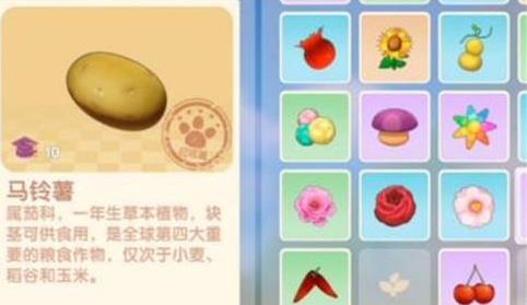 摩尔庄园里面的马铃薯应该怎么获取 摩尔庄园里面的马铃薯应该怎么获取