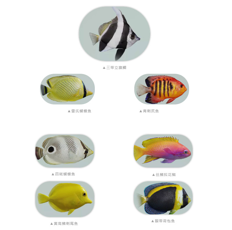 海中有书籍《一梦江湖》捕鱼玩法上线,集分捐书进山区 海中有书籍《一梦江湖》捕鱼玩法上线,集分捐书进山区
